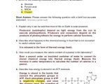 Forms Of Energy Worksheet Answers Along with Cell Energy Worksheet Answers Kidz Activities
