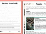 Fossil formation Worksheet Along with Year 3 Fossils Reading Prehension Activity Sedimentary