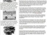 Fossil formation Worksheet with 11 Best 5 7d Fossil From the Past Images On Pinterest