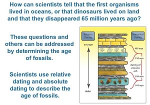 Fossils and Relative Dating Worksheet Along with Essential Question How Do Scientists Define and Support the theory