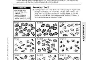 Fossils and Relative Dating Worksheet Along with Relative Dating Worksheet Answers Beautiful Calculating Half Life