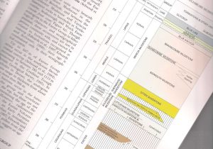 Fossils and Relative Dating Worksheet Answers and Purbeck Group Bibliography Of Geology by Ian West