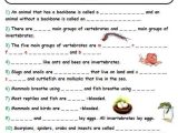 Free Animal Classification Worksheets Along with 13 Best Exam Images On Pinterest