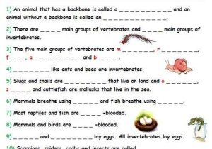 Free Animal Classification Worksheets Along with 13 Best Exam Images On Pinterest