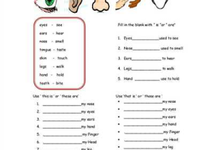 Free Animal Classification Worksheets Also Part Of Body Worksheet Free Esl Printable Worksheets Made by