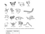 Free Animal Classification Worksheets and 13 Best Exam Images On Pinterest