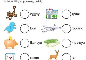 Free Animal Classification Worksheets together with 13 Best Exam Images On Pinterest