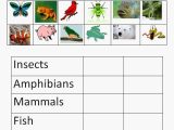 Free Animal Classification Worksheets together with 51 Best Biology Instructional Materials Images On Pinterest