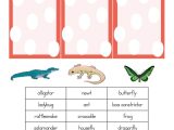 Free Animal Classification Worksheets with Health and Nutrition Worksheets