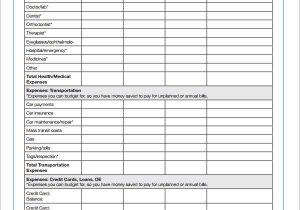 Free Budget Worksheet Along with Bud forms Free Guvecurid
