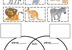 Free Compare and Contrast Worksheets for Kindergarten Along with English and Esl Digital Resources S Teaching Resource Store