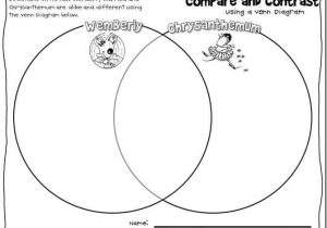 Free Compare and Contrast Worksheets for Kindergarten Also 3706 Best Speech Stuff Images On Pinterest