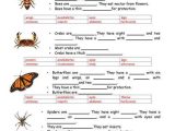 Free Esl Worksheets for Adults Also Animals Vertebrates and Invertebrates Worksheet Free Esl Printable