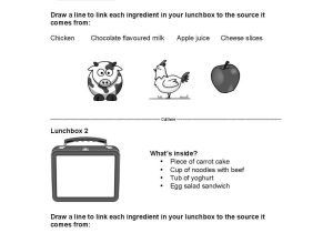 Free Nutrition Worksheets or 1 2 "what S In Your Lunchbox " Paddock to Plate Worksheet Nsw Early