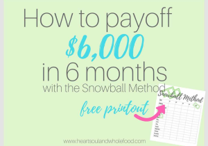 Free Printable Debt Snowball Worksheet Along with whole Foods Payment Methods Msi 6570