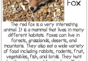 Free Printable Main Idea Worksheets Along with What Does the Fox Say Finding the Main Idea and Details In A