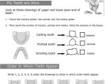 Free Printable Personal Hygiene Worksheets Along with 8 Best Personal Hygiene Images On Pinterest