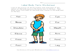 French Worksheets for Kids Also Naming Body Parts Worksheets