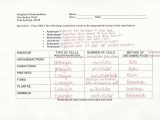 Frog Dissection Lab Worksheet Answer Key and Collection Of Codon Worksheet Answer Key Biology Junction