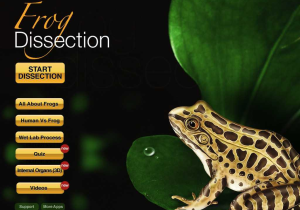 Frog Dissection Worksheet and Frog Dissection App Store