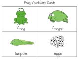 Frog Dissection Worksheet and Life Cycle A Frog for Kindergarten