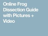 Frog Dissection Worksheet Answers together with Frog Dissection Worksheet Answers New 9 Best Frog Dissection