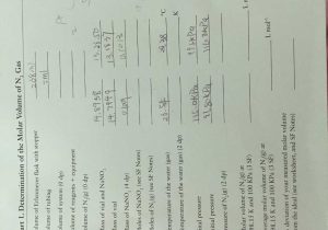 Function Table Worksheet Answer Key as Well as Predicting Products Worksheet Chemistry Best 11 1 Describ