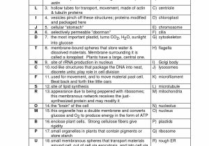 Functions Worksheet with Answers Along with Cell organelle Crossword Puzzle Worksheet Answers Crossword Puzzle