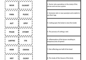 Functions Worksheet with Answers and Niedlich Anatomy and Physiology Terminology Quiz Galerie