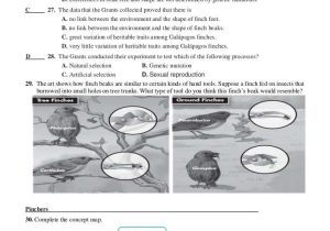 Galapagos the islands that Changed the World Worksheet as Well as Chapter 16 Worksheets