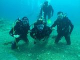 Gas Laws and Scuba Diving Worksheet Answer Key Also 32 Best Nemo Dive Team Images On Pinterest