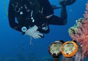 Gas Laws and Scuba Diving Worksheet Answer Key and 200 Best Diving Images On Pinterest