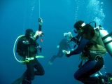 Gas Laws and Scuba Diving Worksheet Answers Along with Discover andaman with Neil island tour Neil island tours