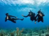 Gas Laws and Scuba Diving Worksheet Answers and Scuba Diving Career Training Overview Ft Lauderdale Akb