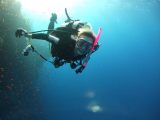 Gas Laws and Scuba Diving Worksheet Answers as Well as Scuba Diving In the Uk Ajn News