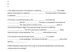 Gas Laws Practice Problems Worksheet Answers together with Bined Gas Law Problems Worksheet Image Collections Worksheet