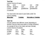 Gender Of Nouns In Spanish Worksheet with Exercises 16