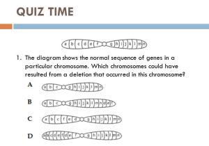 Gene and Chromosome Mutation Worksheet and Beautiful Linked Traits Worksheet Unique Chromosome Mutation