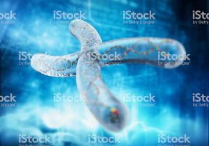 Gene and Chromosome Mutation Worksheet Answer Key with X Chromosome with Dna Helix Stok Fotoraflar and Aratrmanin