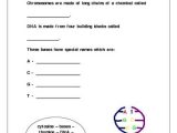Gene and Chromosome Mutation Worksheet as Well as Chromosomes Worksheet the Best Worksheets Image Collection