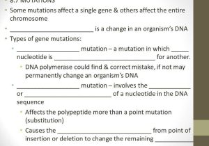 Gene and Chromosome Mutation Worksheet as Well as Gene and Chromosome Mutation Worksheet Choice Image Worksheet Math