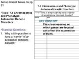 Gene and Chromosome Mutation Worksheet or Ppt On Chromosomes and Genes Worksheet