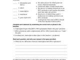 Gene Regulation and Expression Worksheet Answers Along with Worksheets 49 Unique Transcription and Translation Worksheet Answers