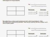 Genetic Engineering Simulations Worksheet Answers together with Big Bang theory Punnett Square Worksheet