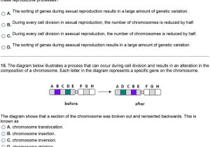 Genetic Mutations Worksheet Answers and Mutations and Genetic Variability 1 What is Occurring In the