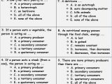 Genetics and Biotechnology Chapter 13 Worksheet Answers Also Food Chain Worksheet Answers – Webmart