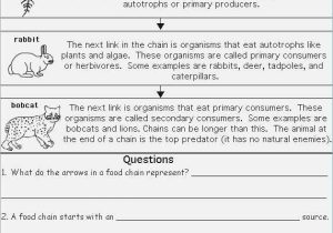Genetics and Biotechnology Chapter 13 Worksheet Answers together with Food Chain Worksheet Answers – Webmart