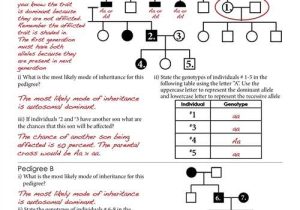 Genetics Pedigree Worksheet Along with Pedigrees Worksheet Worksheets for All