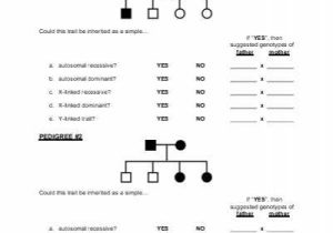 Genetics Pedigree Worksheet and Genetics Pedigree Worksheet