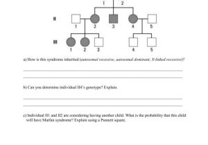 Genetics Pedigree Worksheet Answer Key Along with Genetics Pedigree Worksheet